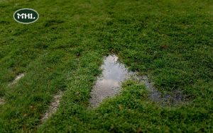 Soft Spots in Yard: 10 Effective Ways to Fix